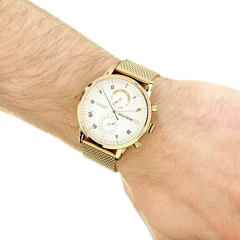 Tommy Hilfiger Men's Watch 1710403