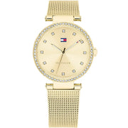 Tommy Hilfiger Women's Watch 1781864