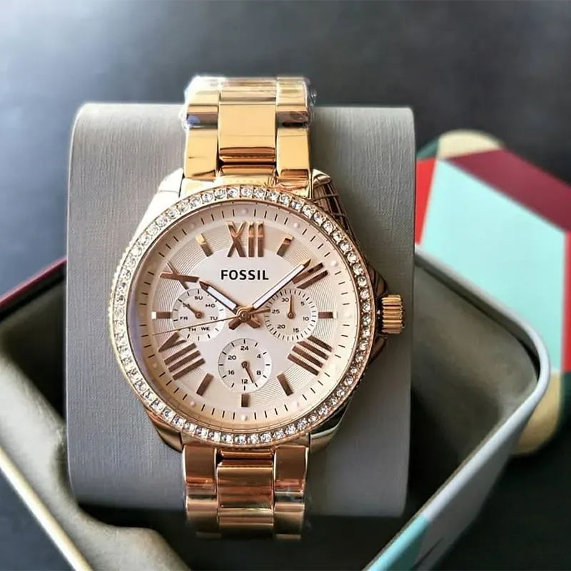 Fossil Women's Watch AM4483